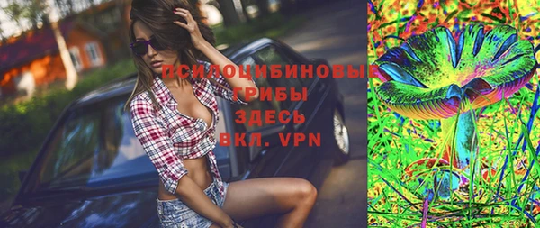 дмт Алзамай