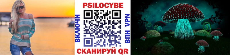 ссылка на мегу маркетплейс  Тверь  Галлюциногенные грибы прущие грибы  купить наркотики сайты 
