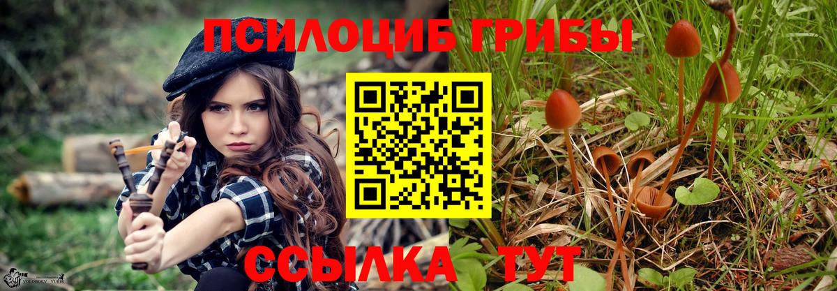 Галлюциногенные грибы Psilocybe  Вход с VPN  Тверь 
